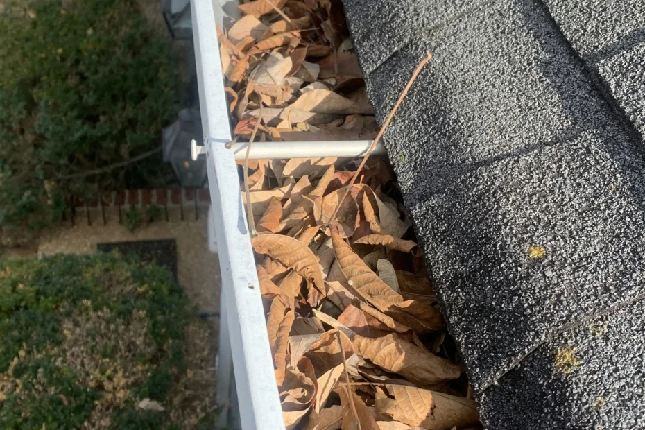 Gutter Cleaning Mt Holly