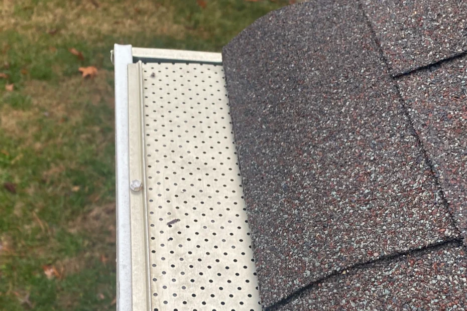 Gutter Cleaning Mt Holly